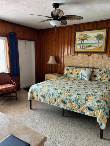 Seahorse Inn 新士麦那海滩 外观 照片
