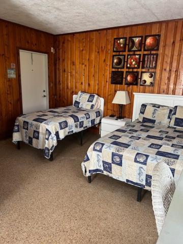 Seahorse Inn 新士麦那海滩 外观 照片