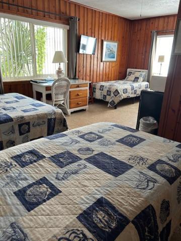Seahorse Inn 新士麦那海滩 外观 照片