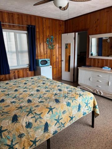 Seahorse Inn 新士麦那海滩 外观 照片