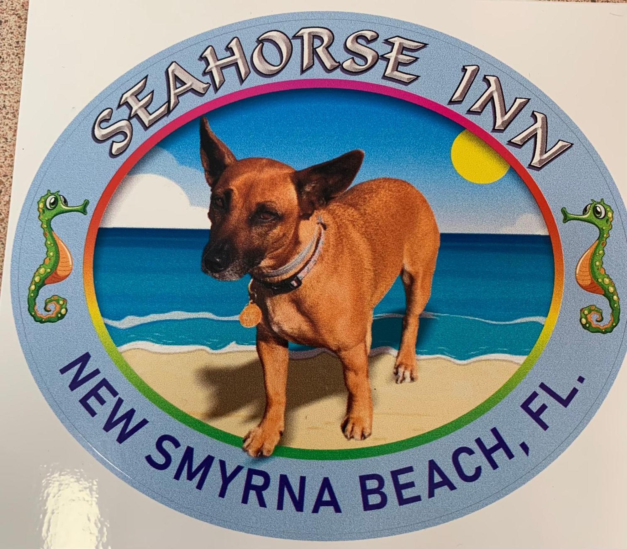 Seahorse Inn 新士麦那海滩 外观 照片